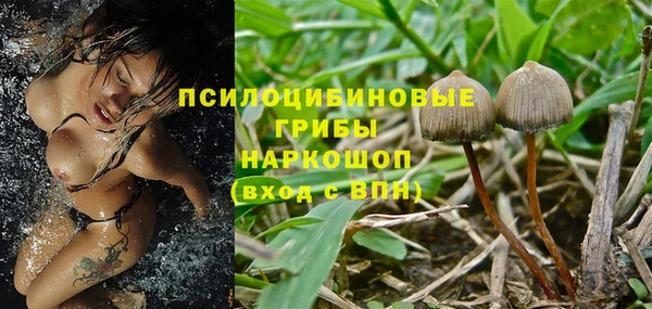 не бодяженный Богородицк