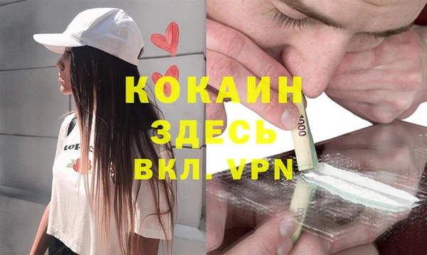 прущие грибы Бугульма