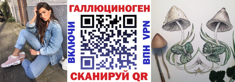 Галлюциногенные грибы GOLDEN TEACHER  OMG   Наро-Фоминск  купить наркотик 
